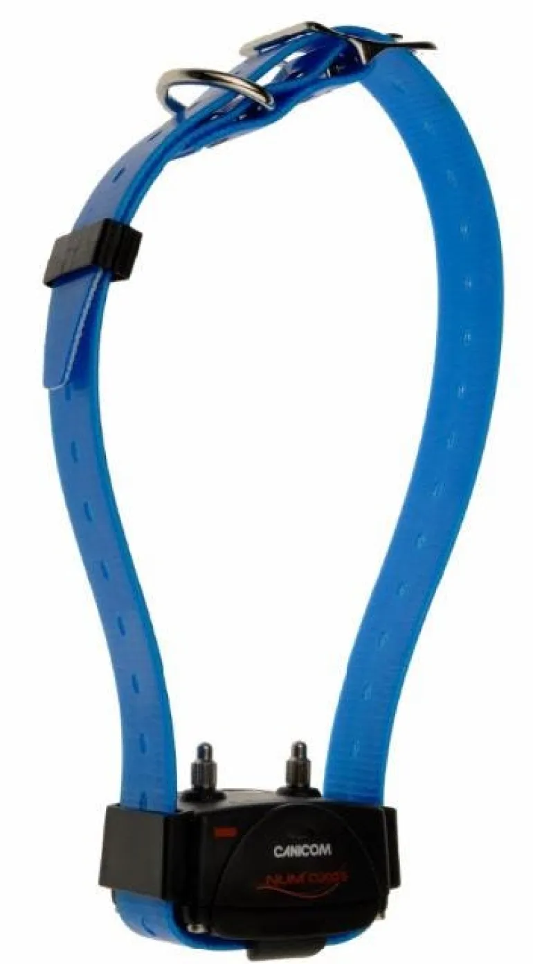 Collier de dressage avec stimulation Canicom bleu NUM'AXES