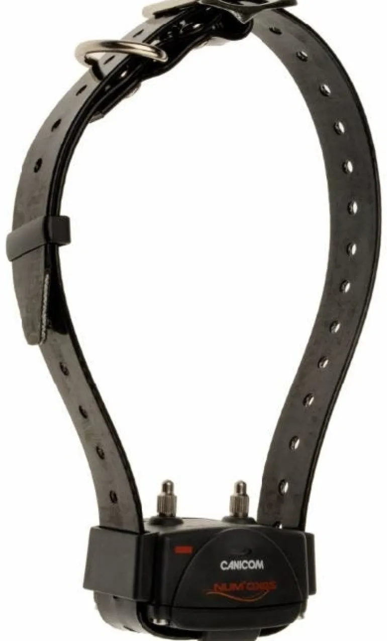 Collier de dressage avec stimulation Canicom noir NUM'AXES