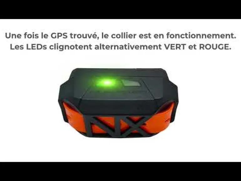 Collier de localisation CANICOM GPS MINI sans stimulation