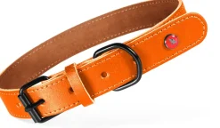 Collier pour chien cuir classique 25mm 39/49 cm fauve ZOLUX