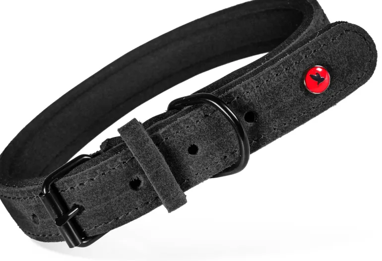 Collier pour chien cuir confort 18mm 33/39cm noir ZOLUX