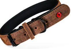 Collier pour chien cuir confort 25mm 38/48cm marron ZOLUX