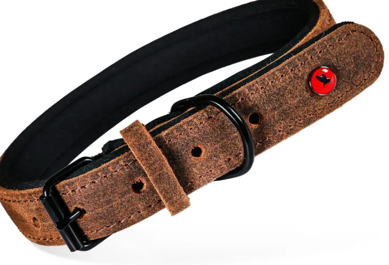 Collier pour chien cuir confort 30mm 53/65cm marron ZOLUX