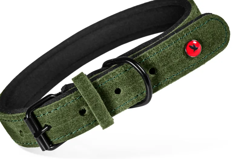 Collier pour chien cuir confort 14mm 23/30cm vert ZOLUX