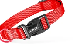 Collier pour chien nylon classique 10mm 21/36 cm rouge ZOLUX