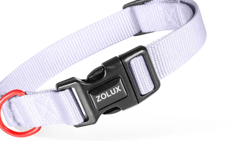 Collier pour chien nylon classique 20mm 31/48 cm lilas ZOLUX
