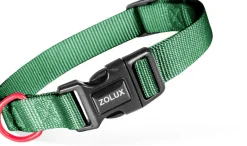 Collier pour chien nylon classique 10mm 21/36 cm sapin ZOLUX