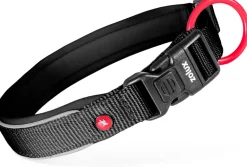 Collier pour chien nylon premium 20mm 40/45 cm noir ZOLUX