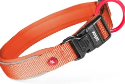 Collier pour chien nylon premium 15mm 30/35 cm rouille ZOLUX