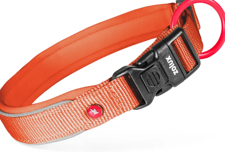 Collier pour chien nylon premium 15mm 30/35 cm rouille ZOLUX