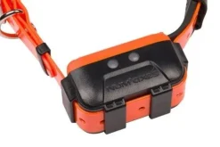 Collier seul Canicom GPS 2