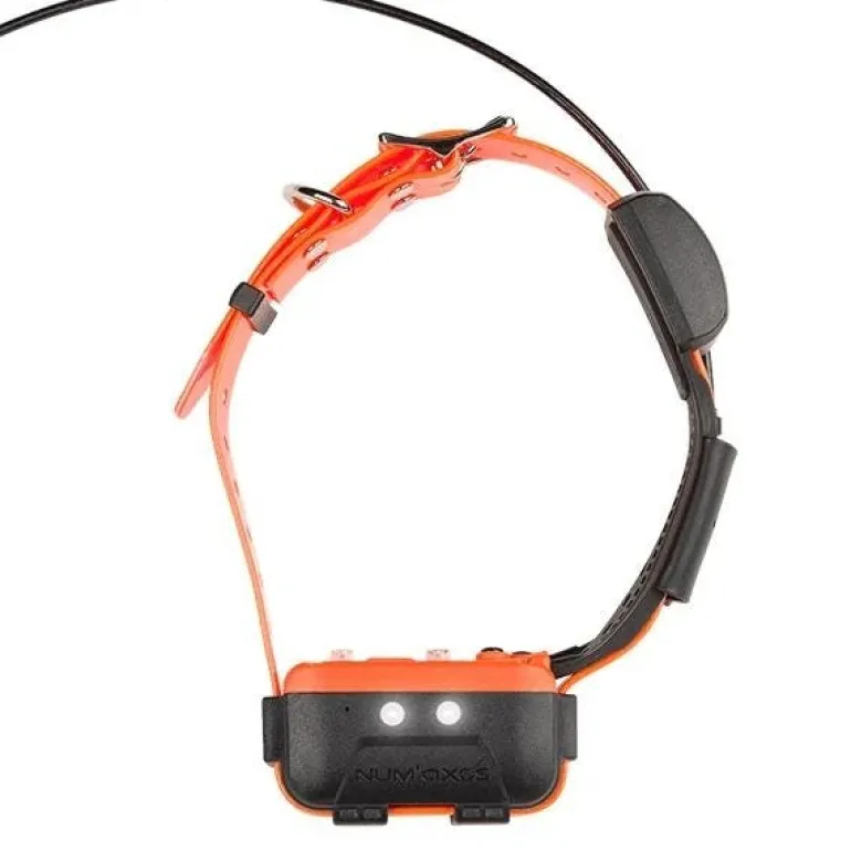 Collier seul Canicom GPS 2