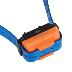 Collier seul Canicom R avec sangle bleue