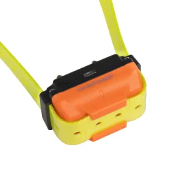 Collier seul Canicom R avec sangle jaune