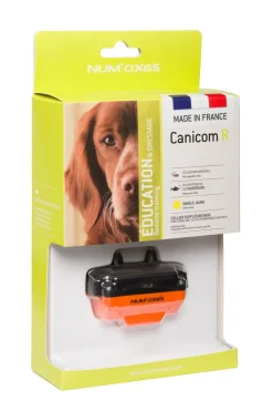 Collier seul Canicom R avec sangle jaune