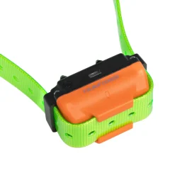 Collier seul Canicom R avec sangle vert fluo