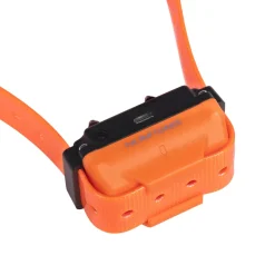 Collier seul Canicom R avec sangle orange