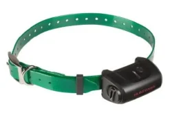 Collier supplémentaire Canicom 5 vert foncé NUM'AXES