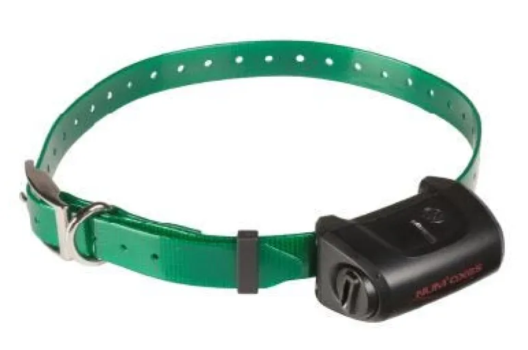 Collier supplémentaire Canicom 5 vert foncé NUM'AXES