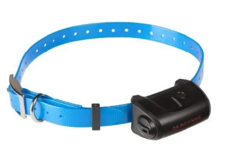 Collier supplémentaire Canicom 5 bleu NUM'AXES