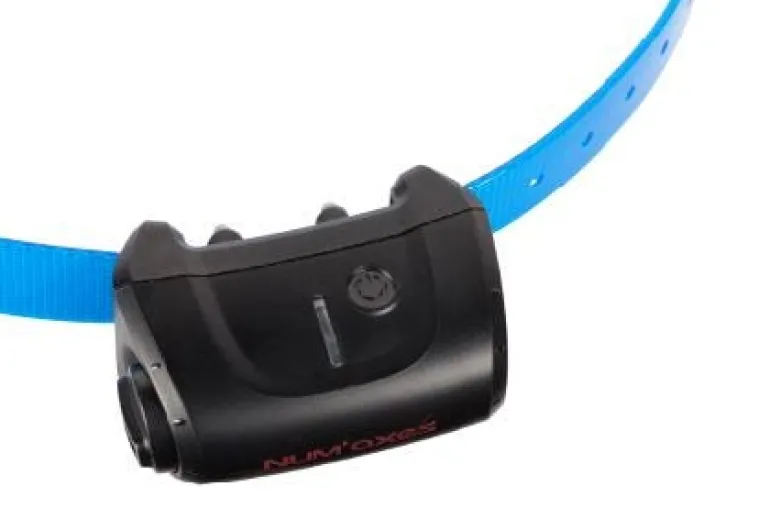 Collier supplémentaire Canicom 5 bleu NUM'AXES