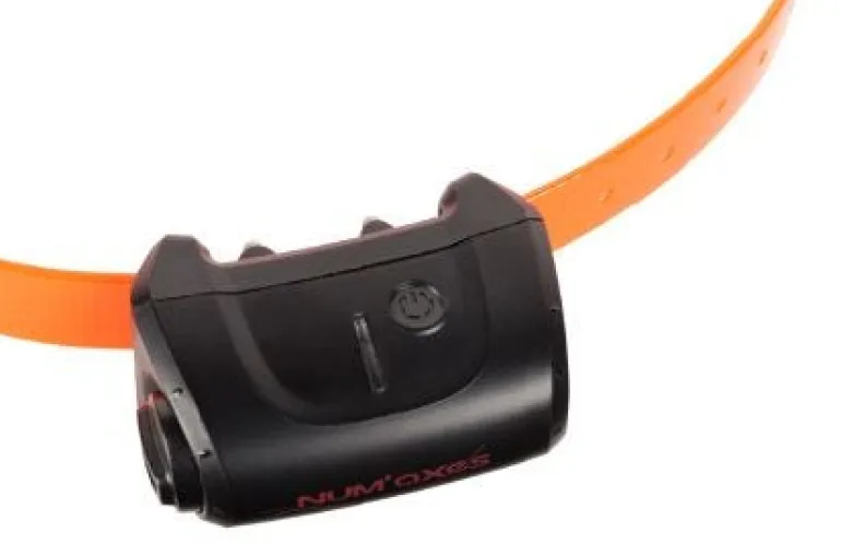 Collier supplémentaire Canicom 5 orange NUM'AXES