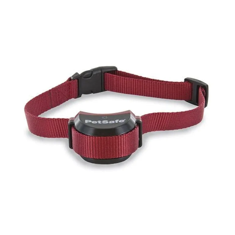 Collier supplémentaire "chien têtu" clôture Stay and play