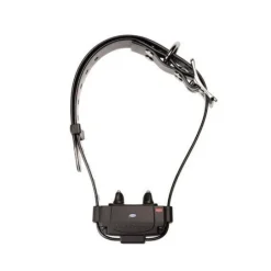 Collier supplémentaire pour Canifugue FUG1034