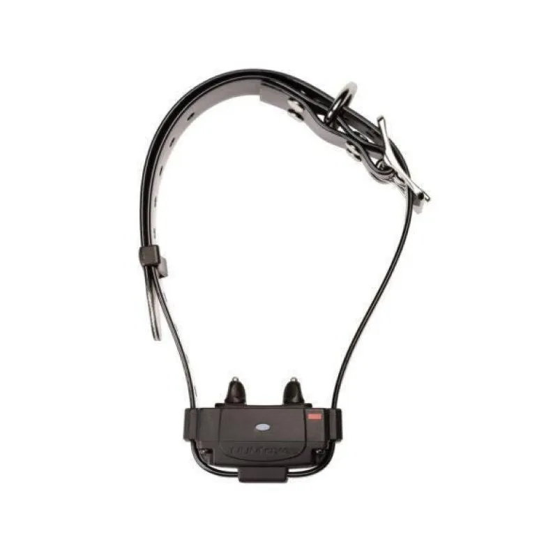 Collier supplémentaire pour Canifugue FUG1034