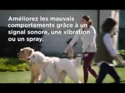 Collier supplémentaire à spray Add a dog