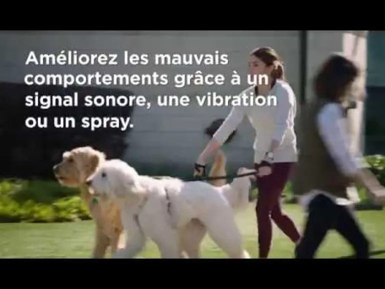 Collier supplémentaire à spray Add a dog