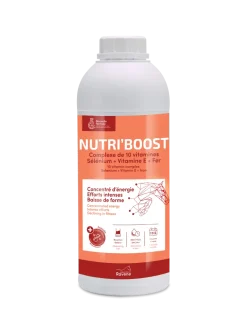Complément alimentaire Nutri'Boost 900 ml RAVENE