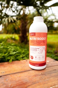 Complément alimentaire Nutri'Boost 900 ml RAVENE