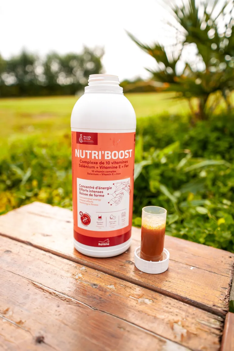 Complément alimentaire Nutri'Boost 900 ml RAVENE
