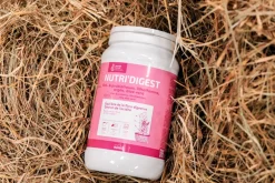Complément pour flore intestinale Nutri'Digest 900 g RAVENE