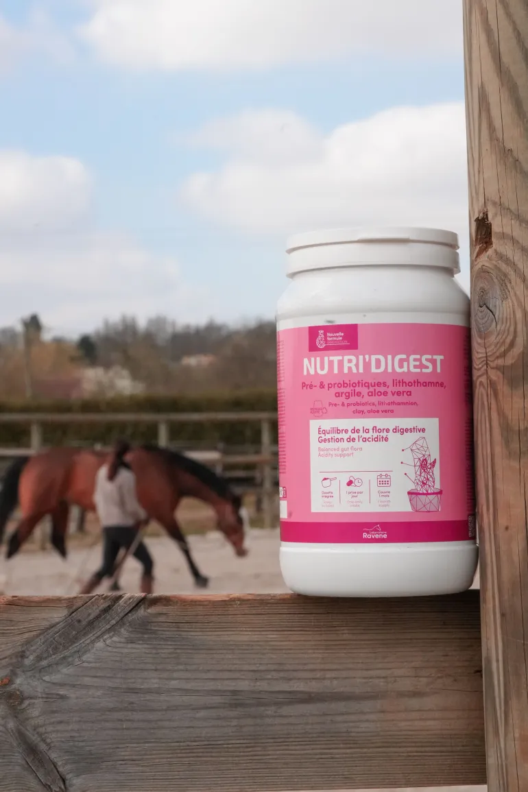 Complément pour flore intestinale Nutri'Digest 900 g RAVENE
