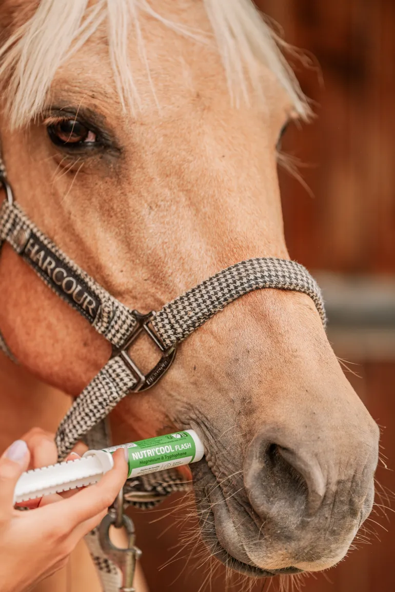Complément pour gestion de l'anxiété Nutri'Cool Flash 30 ml