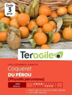 Coqueret de Pérou (Physalis Peruviana) 1g TERAGILE