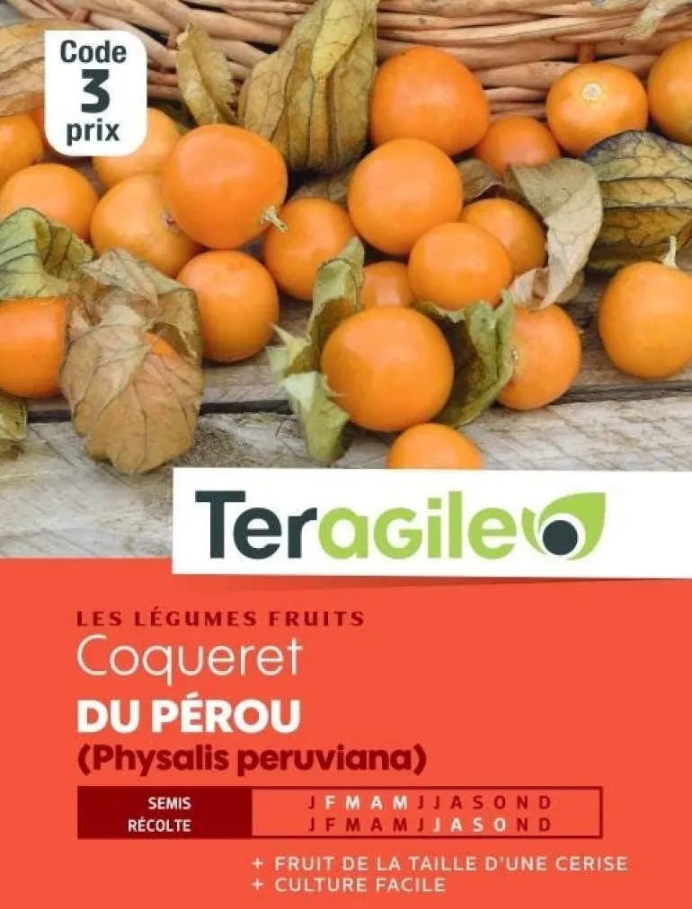 Coqueret de Pérou (Physalis Peruviana) 1g TERAGILE