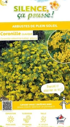 Coronille glauque sélection Pot 4L SILENCE ÇA POUSSE