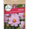 Cosmos Géant Sensation Radiance Rose 2g CAILLARD