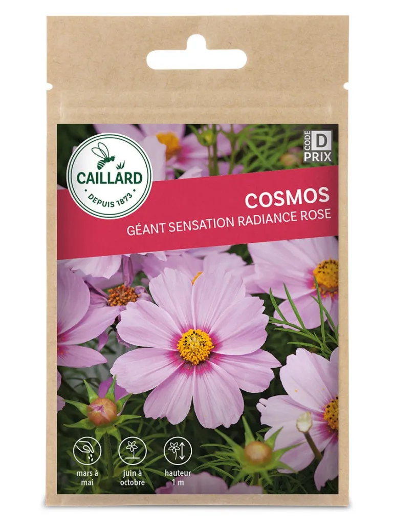 Cosmos Géant Sensation Radiance Rose 2g CAILLARD