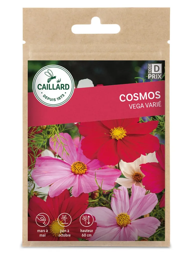 Cosmos Vega varié 1g CAILLARD