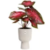 Coupe Vibes Fold Ø14cm Blanc Lin ELHO