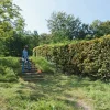 Coupe-herbe électrique FSE81 STIHL