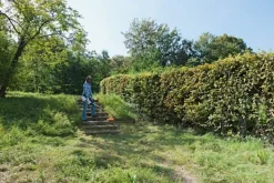 Coupe-herbe électrique FSE81 STIHL