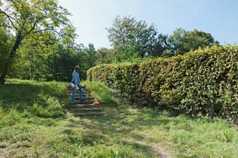 Coupe-herbe électrique FSE81 STIHL