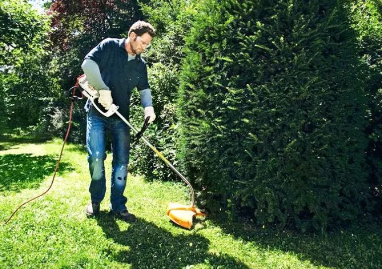 Coupe-herbe électrique FSE81 STIHL