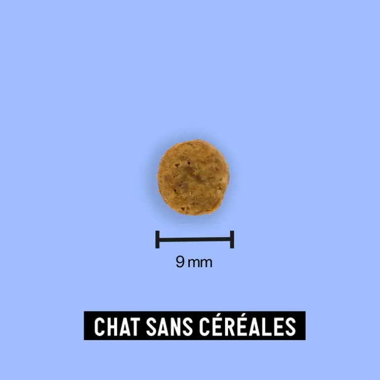 Croquettes aux insectes pour chat sans céréales adulte 7 kg
