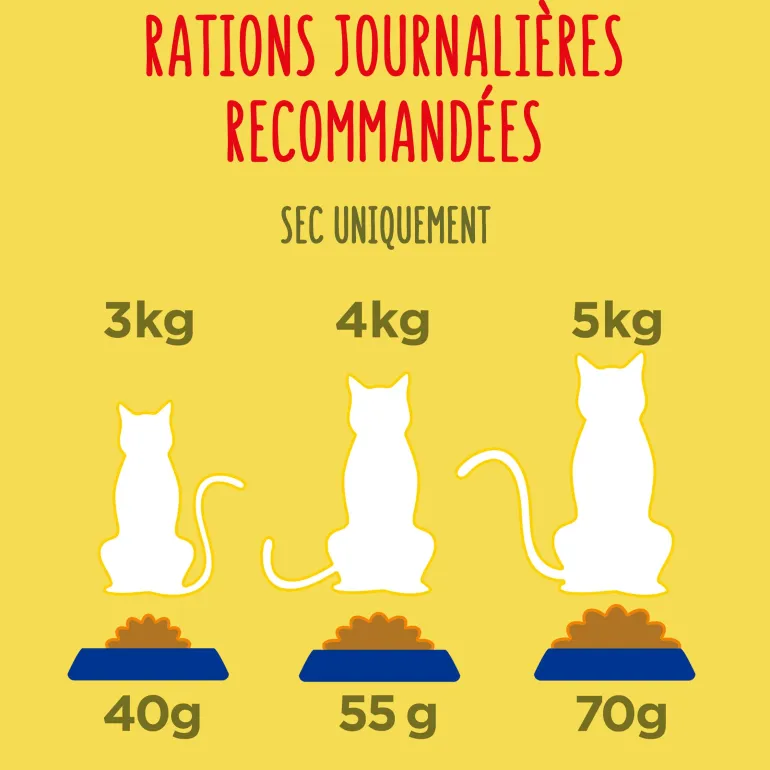 Croquettes chat adulte stérilisé Dinde-Poulet-Légumes 1,5kg